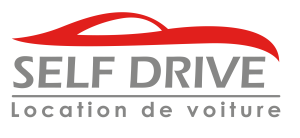 Logo Self drive (2)_Plan de travail 1